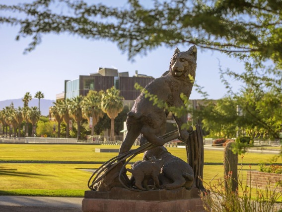 statue of wildcat with university background